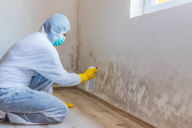 Crawl Space Mold Remediation treatment of floor joists in The Colony